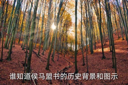 侯馬盟書，誰知道侯馬盟書的歷史背景和圖示