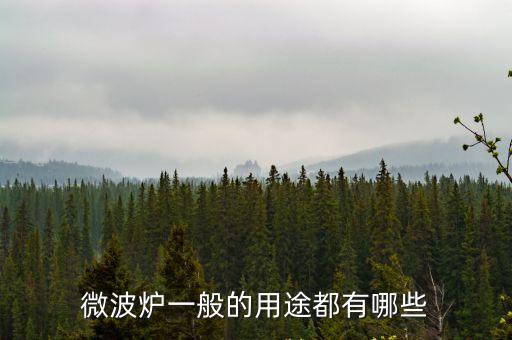 微波爐的使用，微波爐怎么用