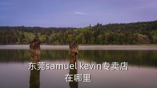 東莞samuel kevin專賣店在哪里