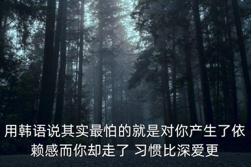 用韓語說其實最怕的就是對你產生了依賴感而你卻走了 習慣比深愛更