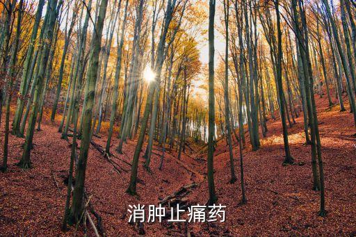 消腫止痛藥