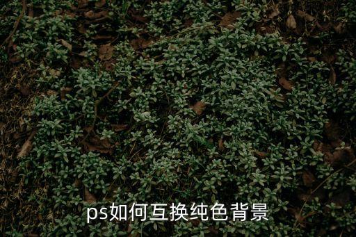 ps換背景色，ps怎么快速換背景色