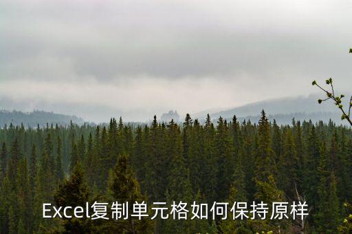 excel表格復(fù)制后怎么保持原格式，Excel復(fù)制單元格如何保持原樣