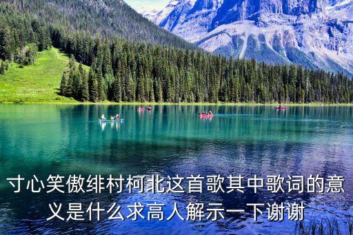 寸心笑傲緋村柯北這首歌其中歌詞的意義是什么求高人解示一下謝謝