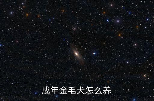 成年金毛犬怎么養(yǎng)