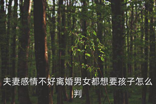 夫妻感情不好離婚男女都想要孩子怎么判
