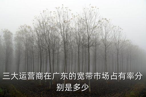 三大運營商在廣東的寬帶市場占有率分別是多少