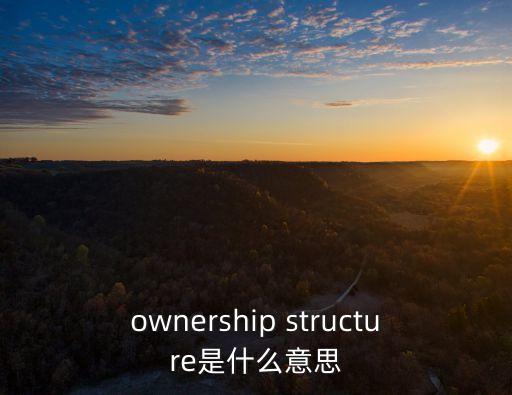 代理成本理論，ownership structure是什么意思