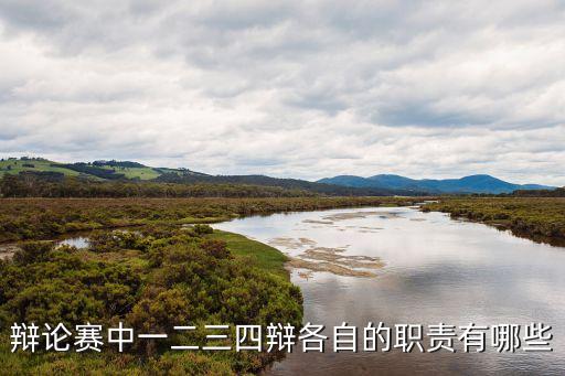 辯論賽一辯二辯三辯四辯，辯論賽中一二三四辯各自的職責有哪些