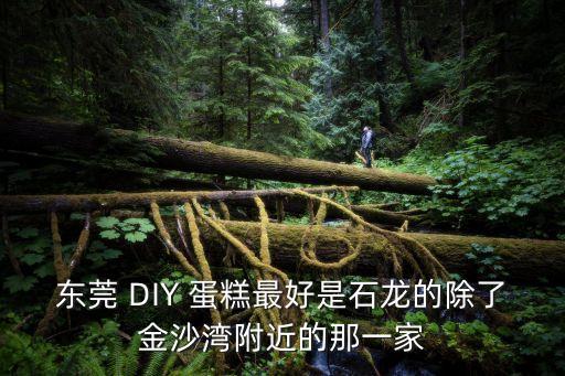 東莞 DIY 蛋糕最好是石龍的除了金沙灣附近的那一家