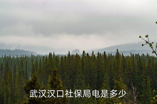 武漢漢口社保局電是多少