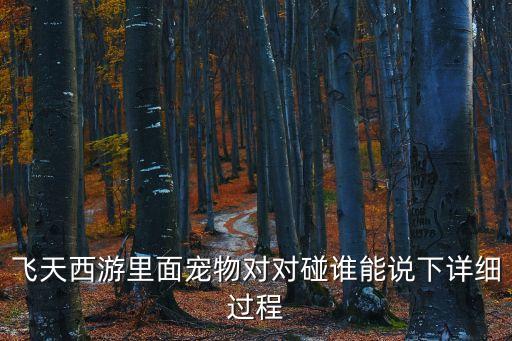 飛天西游里面寵物對對碰誰能說下詳細過程