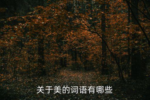 關于美的詞語有哪些