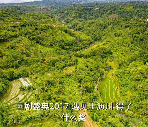 2017國劇盛典，國劇盛典2017最佳男演員是誰
