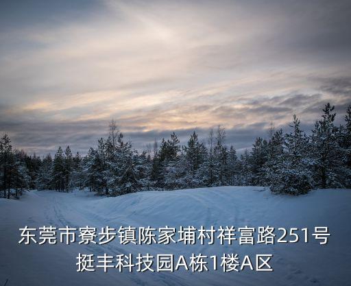 東莞市潤森電聲，東莞市長安鎮烏沙海濱路18號oppo工業園軟件這樣的工廠去工作需要