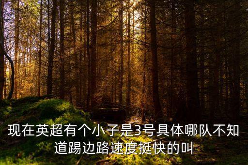 威爾士國家隊，現(xiàn)在英超有個小子是3號具體哪隊不知道踢邊路速度挺快的叫