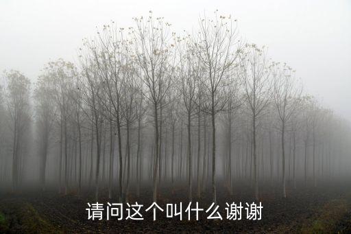 多肉的圖片，你愿意接受多少價位的多肉植物