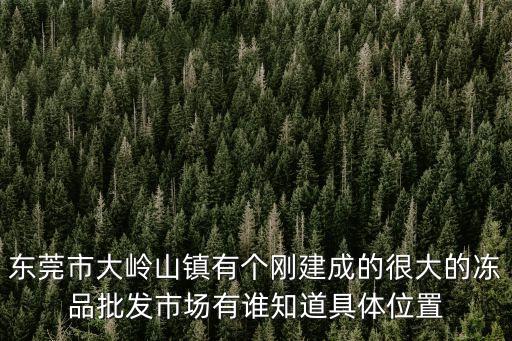 東莞市大嶺山鎮(zhèn)有個(gè)剛建成的很大的凍品批發(fā)市場(chǎng)有誰(shuí)知道具體位置