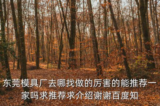 東莞模具廠去哪找做的厲害的能推薦一家嗎求推薦求介紹謝謝百度知
