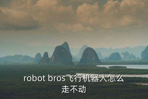 robot bros飛行機(jī)器人怎么走不動