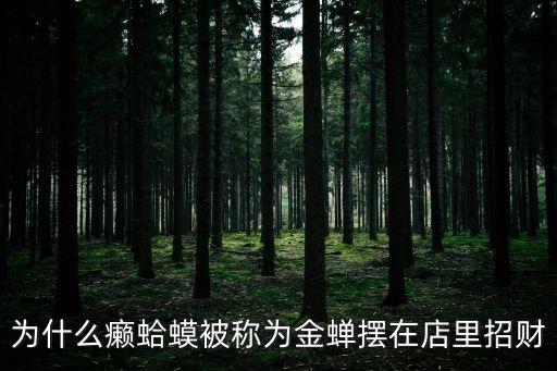 為什么癩蛤蟆被稱為金蟬擺在店里招財