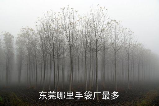 東莞市基安手袋廠，東莞東城基安手提袋有限公司的老板是誰