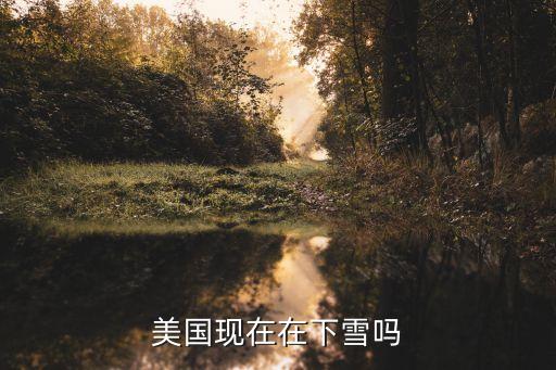 美國大雪，美國有沒有下雪