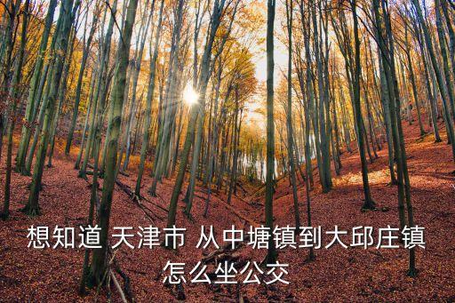 想知道 天津市 從中塘鎮(zhèn)到大邱莊鎮(zhèn)怎么坐公交