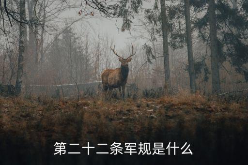 第22條軍規，第二十二條軍規是什么