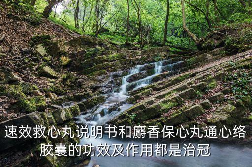 速效救心丸的作用與功效，速效救心丸的作用