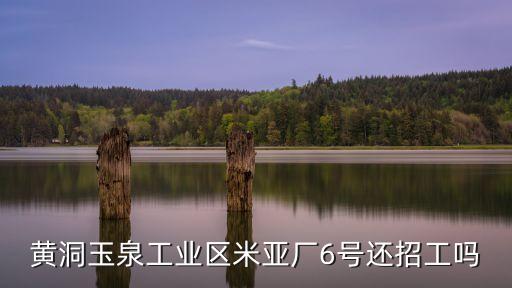 黃洞玉泉工業(yè)區(qū)米亞廠6號(hào)還招工嗎