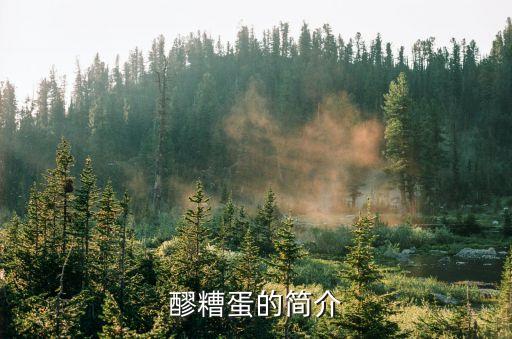 醪糟蛋，醪糟蛋的簡介