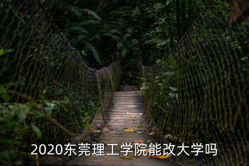 2020東莞理工學院能改大學嗎