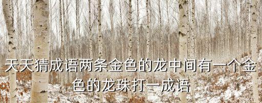 天天猜成語兩條金色的龍中間有一個金色的龍珠打一成語