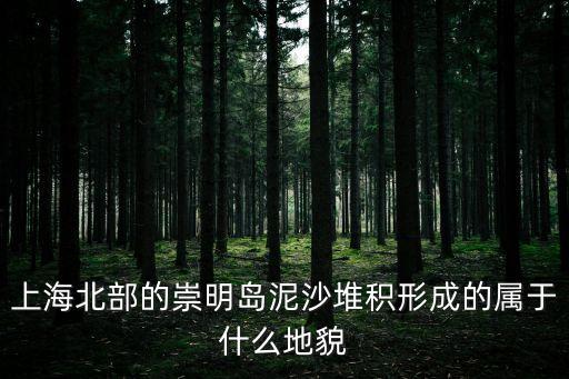上海北部的崇明島泥沙堆積形成的屬于什么地貌