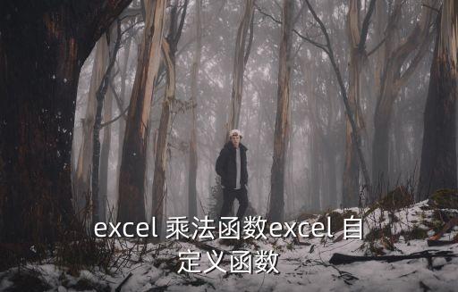 excel 乘法函數(shù)excel 自定義函數(shù)