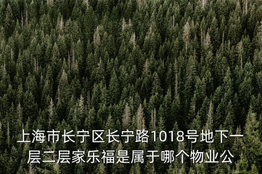 上海市長(zhǎng)寧區(qū)長(zhǎng)寧路1018號(hào)地下一層二層家樂福是屬于哪個(gè)物業(yè)公