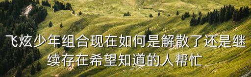 飛炫少年組合現在如何是解散了還是繼續存在希望知道的人幫忙