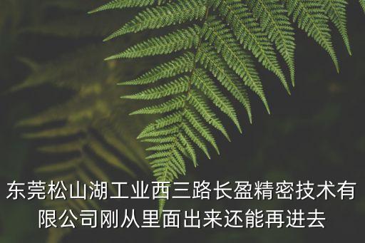 東莞松山湖工業(yè)西三路長(zhǎng)盈精密技術(shù)有限公司剛從里面出來(lái)還能再進(jìn)去
