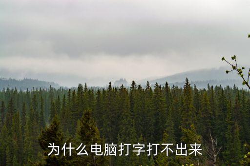電腦打不了字，電腦無法輸入文字