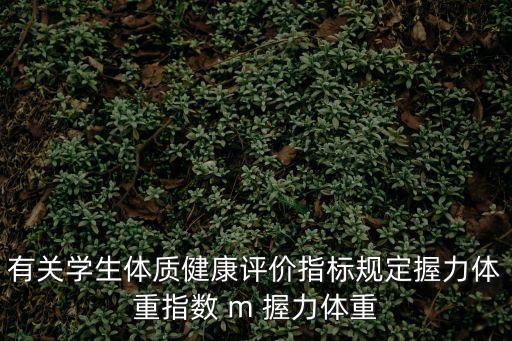 有關學生體質健康評價指標規定握力體重指數 m 握力體重