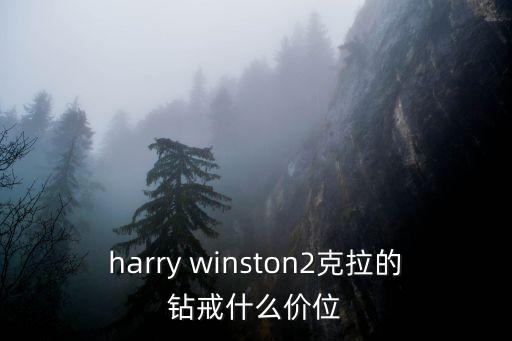 兩克拉鉆戒多少錢，2克拉鉆戒大概多少錢