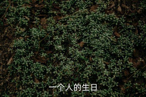 一個人的生日，一個人的生日