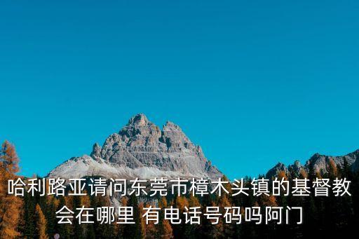 哈利路亞請問東莞市樟木頭鎮的基督教會在哪里 有電話號碼嗎阿門