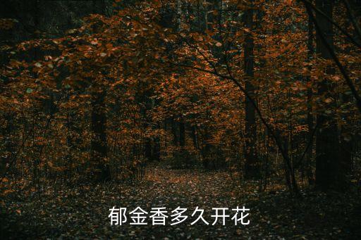 郁金香多久開花