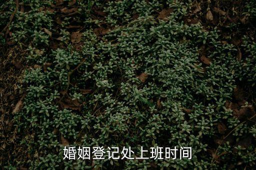 婚姻登記處上班時間