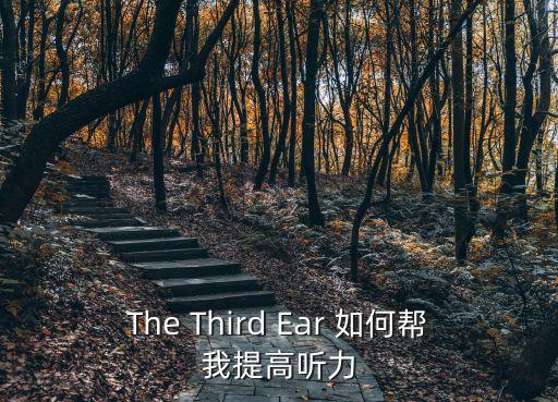 功夫英文，功夫用英語怎么說