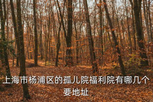上海市楊浦區(qū)的孤兒院福利院有哪幾個要地址