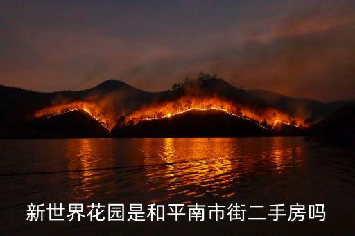 新世界花園是和平南市街二手房嗎