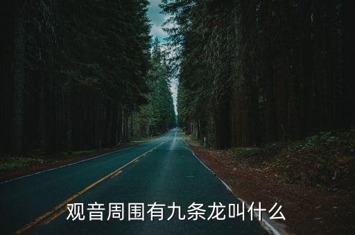 觀音周圍有九條龍叫什么